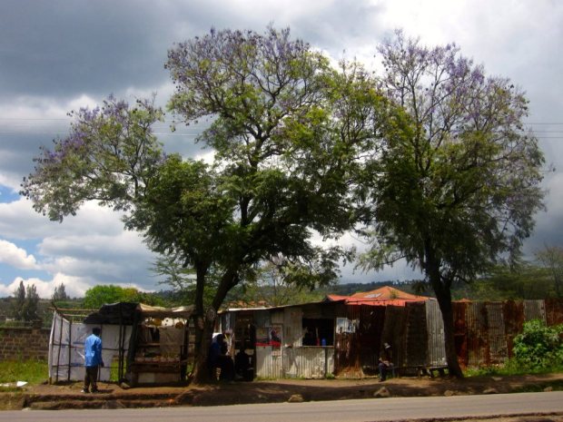 Roadside stalls on the Bahati Road in Nakuru, Kenya. 